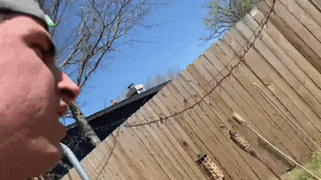 Kevin Urban Rescue Ranch GIF