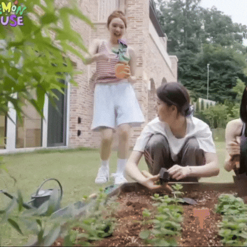 Kpop GIF