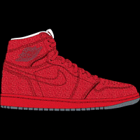 Nike-shoe GIFs - Get the best GIF on GIPHY