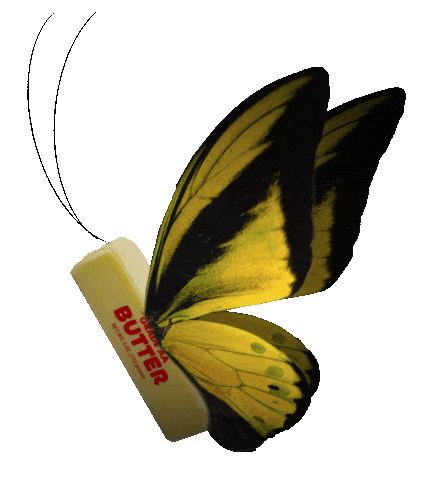 Andy Samberg Butterfly Sticker by The Lonely Island