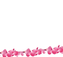 Iced Latte Sticker by Mo - Ash