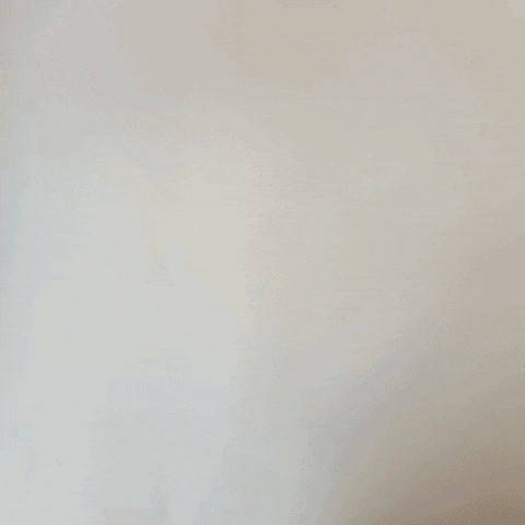 Menstruation GIF