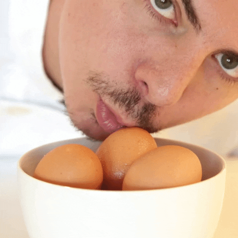 Scrambled-egg GIFs - Get the best GIF on GIPHY