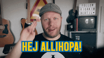 Say It In Swedish GIF
