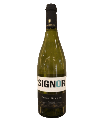 Wine Signor Sticker by signorbistro
