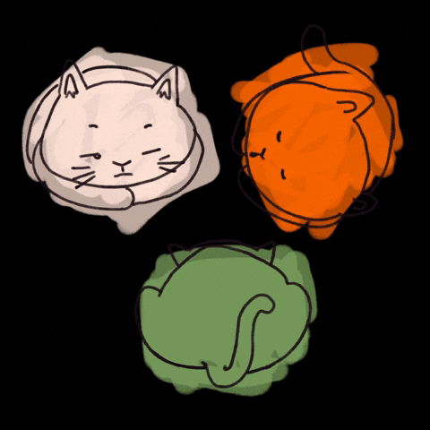 monettepangan cats kittens sleepy cats GIF