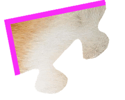 Puzzle Shiba Sticker