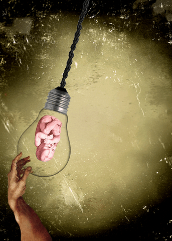 Baby Espera GIF by avutardaotistarda