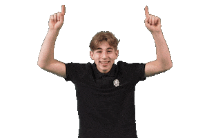 De Witte Leeuw Sticker