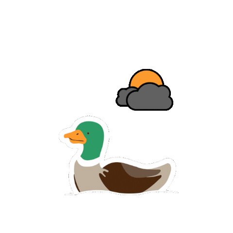 Lancasterweather Sticker by Lancaster University