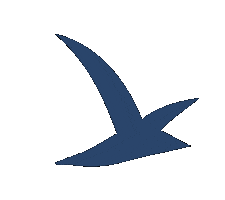 Mouette Sticker by Saint Benoît