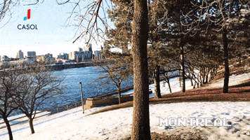 200.gif?cid=fc005b08b1f596bd3153a0c4b96a2d5e25ca8c290dab5c14&rid=200.gif&ct=g