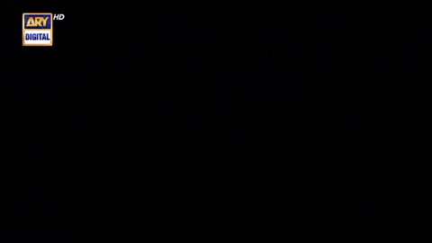Habs GIF