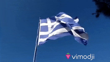 Greek Flag Greece GIF by Vimodji