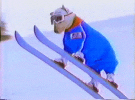 spuds mackenzie skiing GIF