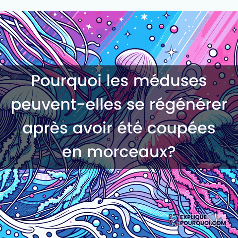 Morceaux GIF by ExpliquePourquoi.com