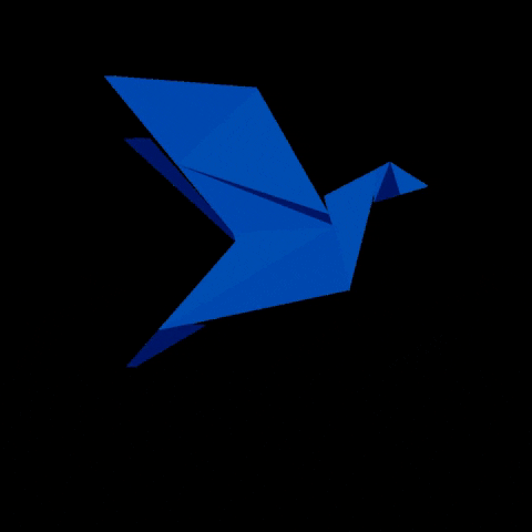 Aquizio GIF