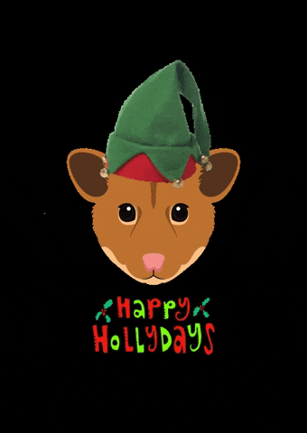 Christmas Hamster GIF by Melina Bucher