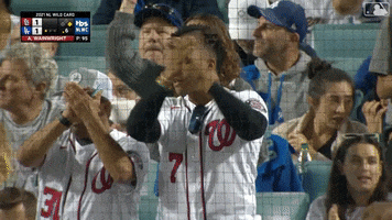 Mlb Postseason Applause GIF by MLB