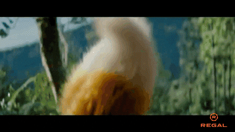 User Comment Image
