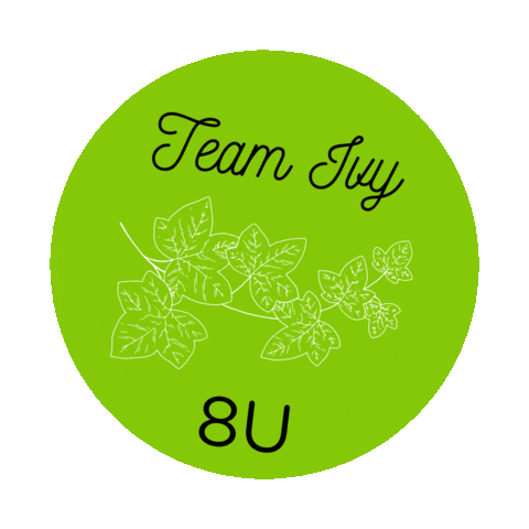 Ignitionpa Sticker by IPA