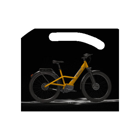 Benjamin Radior Bike Sticker