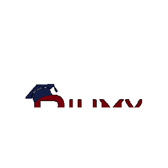 Biumy Academy Sticker