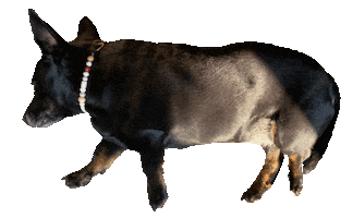 Malamarianne Sticker by dariadaria