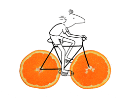Pale Ale Summer GIF