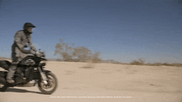 Off Road Bike GIF by Harley-Davidson