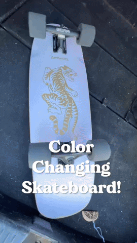 Landyachtz GIF