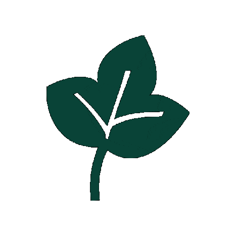 Autumn Leaf Sticker by Start-Rite Shoes