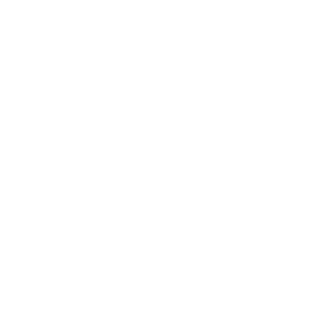 Sitting Pretty Halo Hair Sticker