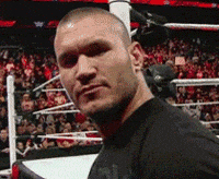 Randy-orton-rko GIFs - Get the best GIF on GIPHY Randy-orton-rko GIFs - Get the best GIF on GIPHY