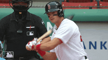 Regular Season Sport GIF by MLB