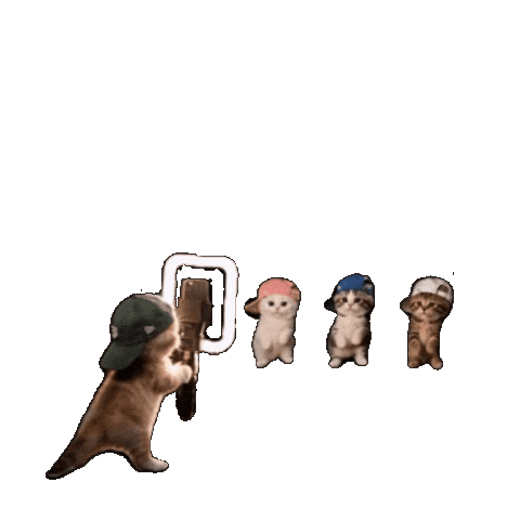 Dance Cat Sticker