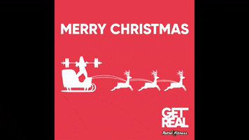 Merry Christmas GIF by Retro Fitness