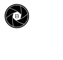 Bear Cinema Rentals Sticker