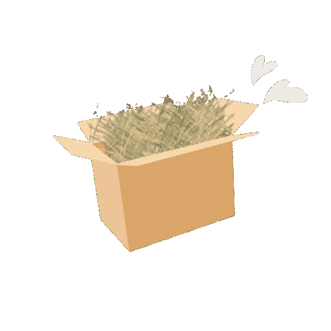 Bunny Rabbit Sticker