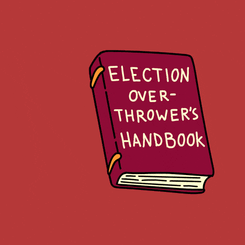 Election overthrowers handbook - lie, lie, lie