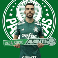 happy bruno henrique GIF by SE Palmeiras
