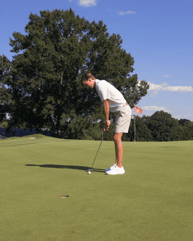 Elon Mens Golf GIF by Elon Phoenix