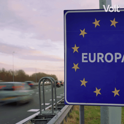 Europa Verkiezingen GIF by VoltNL