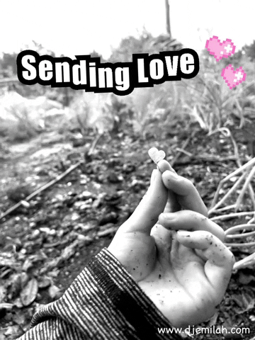 Sending Love GIF by Djemilah Birnie