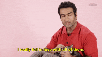 International Cat Day Kittens GIF by BuzzFeed