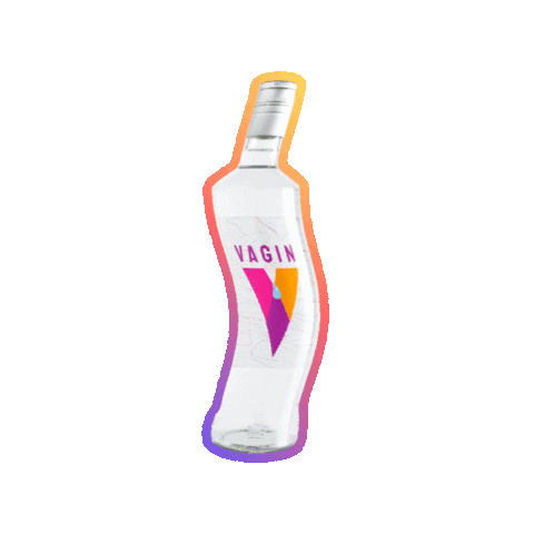 V4gin Sticker