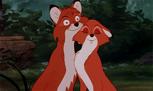 Foxes Cuddling GIF