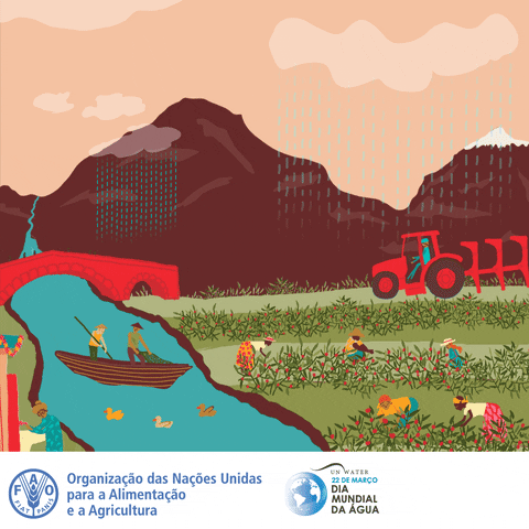 Food And Agriculture Organization Agua GIF by FAO