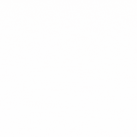 The Brain Aneurysm Foundation GIF