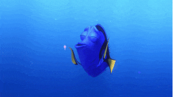 disney pixar ocean GIF by Disney